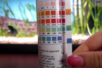 Here The Ideal Water Parameters for Your Guppies