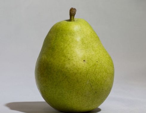 different types of pear