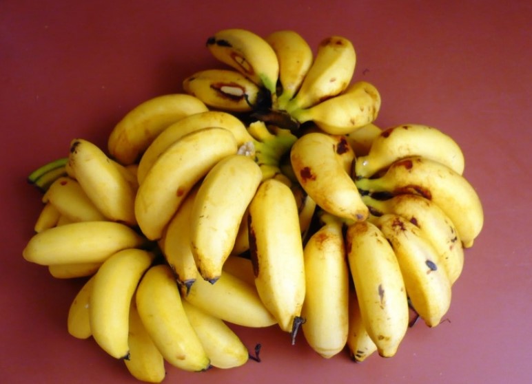 Different Types of Bananas