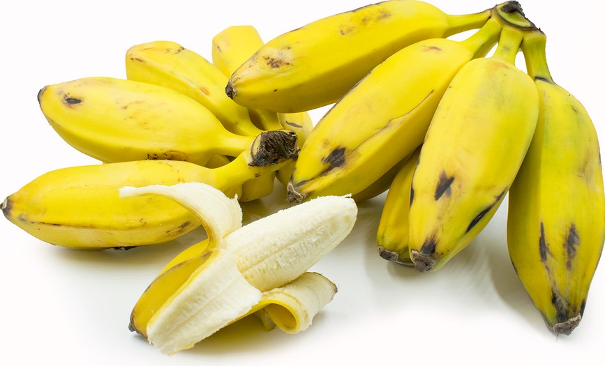 Different Types of Bananas