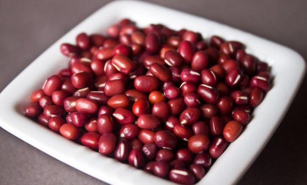 Different Types of Beans You Can Eat