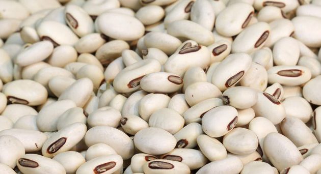 Different Types of Beans You Can Eat