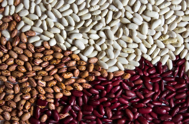 Different Types of Beans