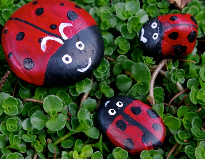 Best And Cool Painted Rocks Ideas That Amazes You