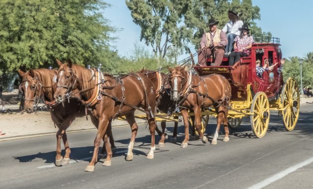 Different Types of Transport