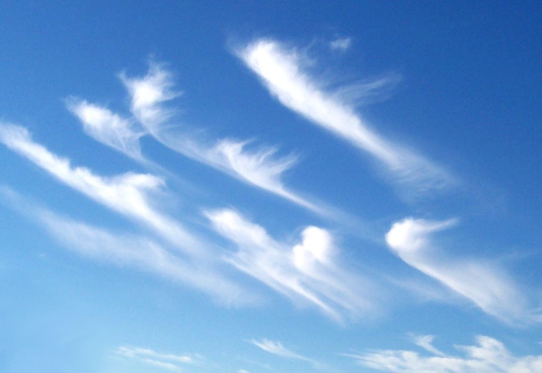 Types of Clouds (Main Types of Clouds and Categorized by Altitude) | What is a cloud?