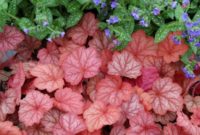 Beautiful Pink Flowers for Your Garden