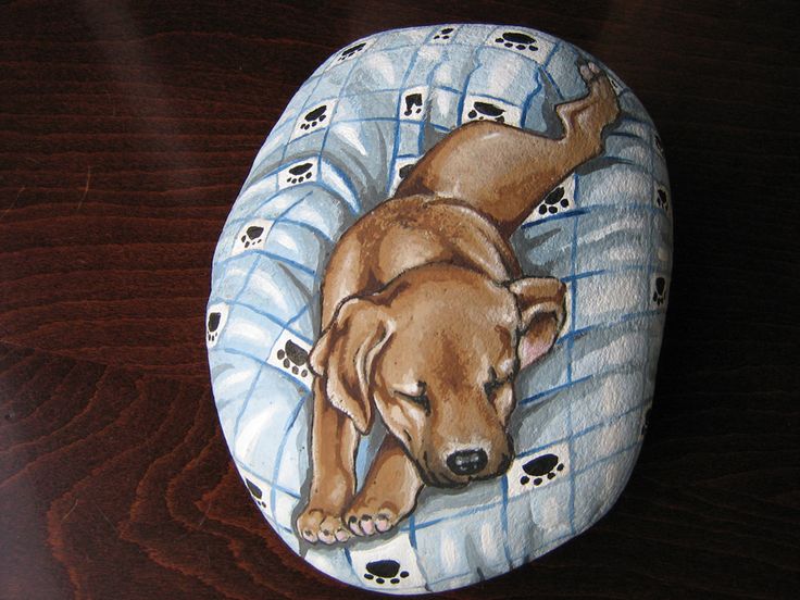 imposing stone painting designs #animalpaintedrock #paintedrock #rockpainting #animalstoneart