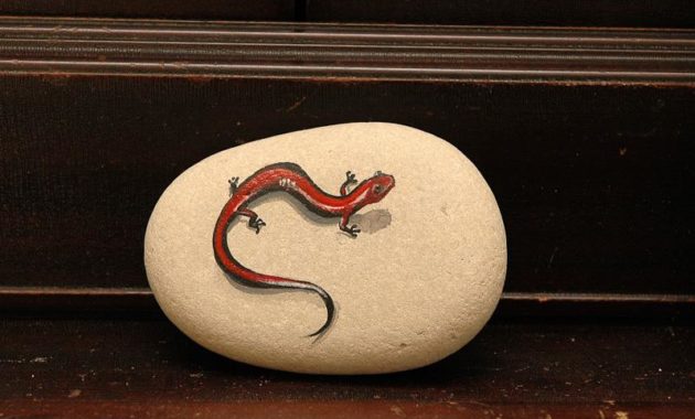 wonderful smooth rocks for painting #animalpaintedrock #paintedrock #rockpainting #animalstoneart