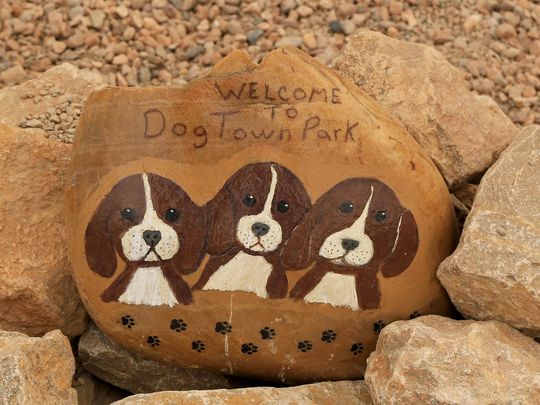 overwhelming stone painting #animalpaintedrock #paintedrock #rockpainting #animalstoneart