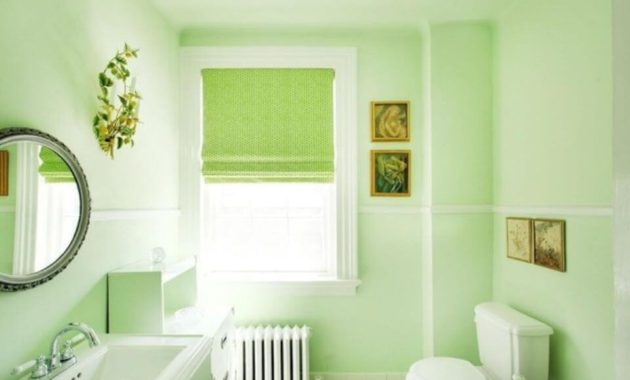 Bathroom Paint Color Ideas