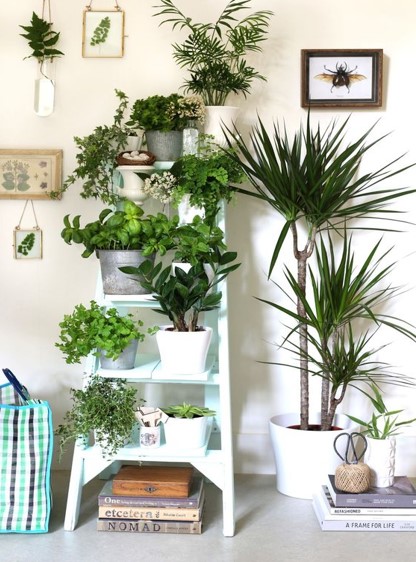 Inexpensive DIY Plant Stand Ideas