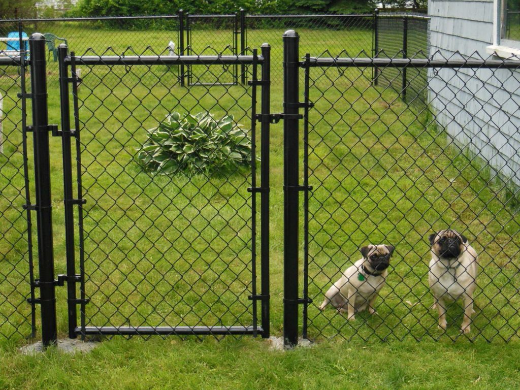 Best Dog Fence Ideas