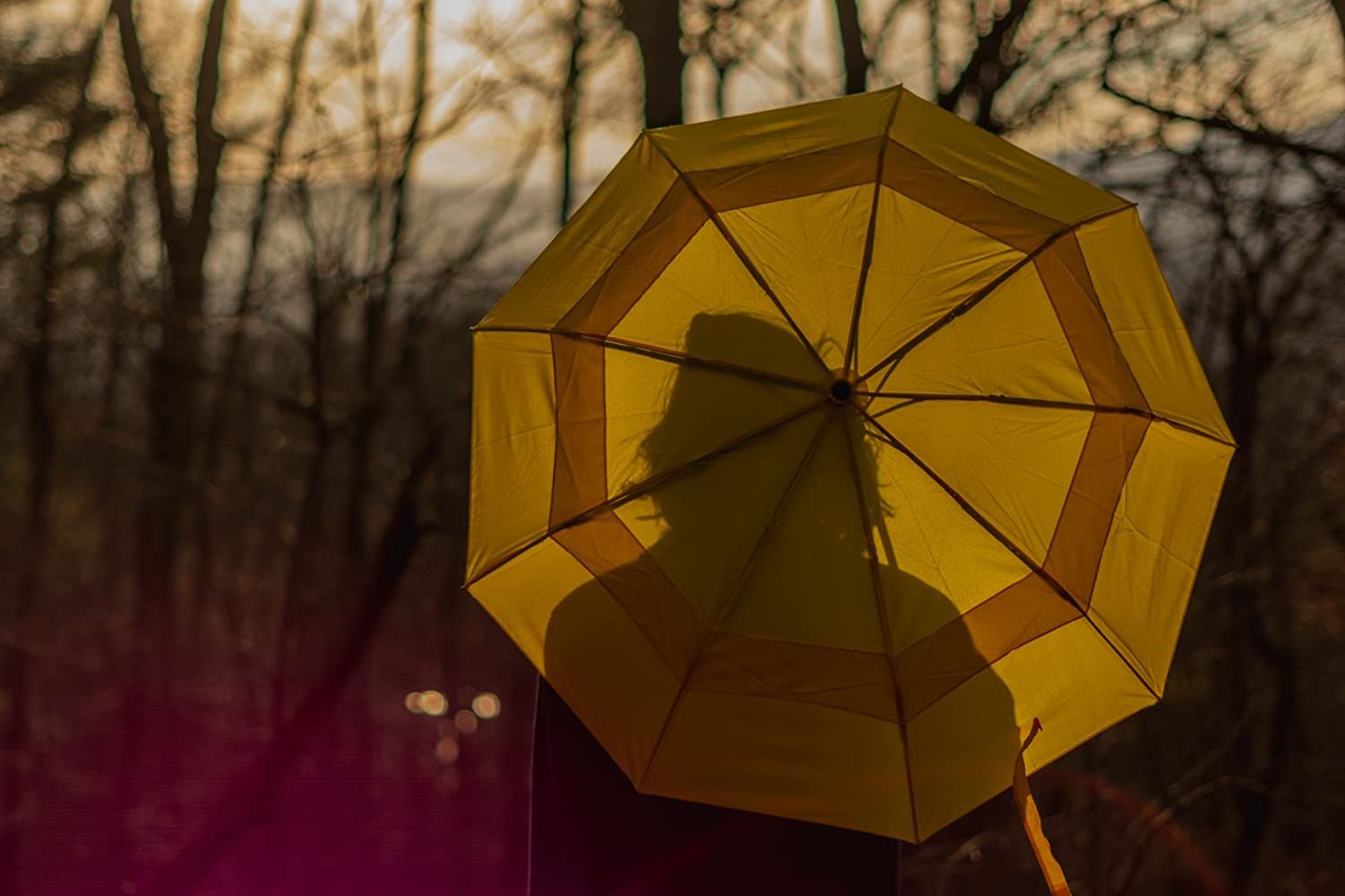 What is A Compact Umbrella? Advantages, Disadvantages, and Types